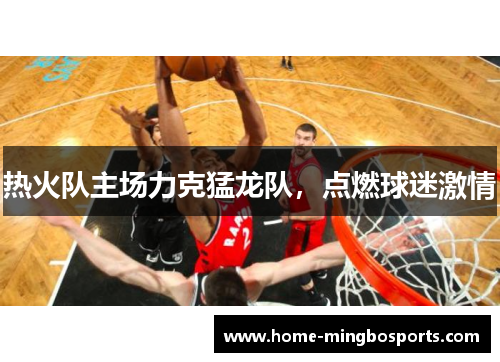 热火队主场力克猛龙队，点燃球迷激情